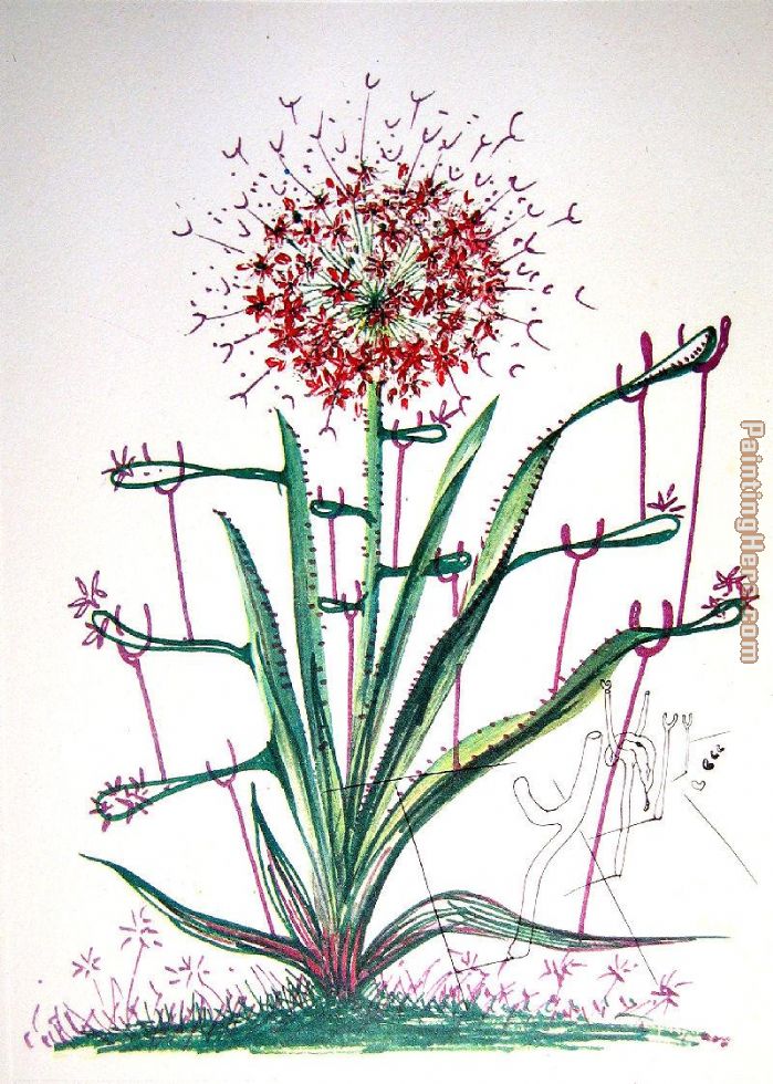 Cactus Les Bequilles painting - Salvador Dali Cactus Les Bequilles art painting Cactus Les Bequilles painting - Salvador Dali Cactus Les Bequilles art painting